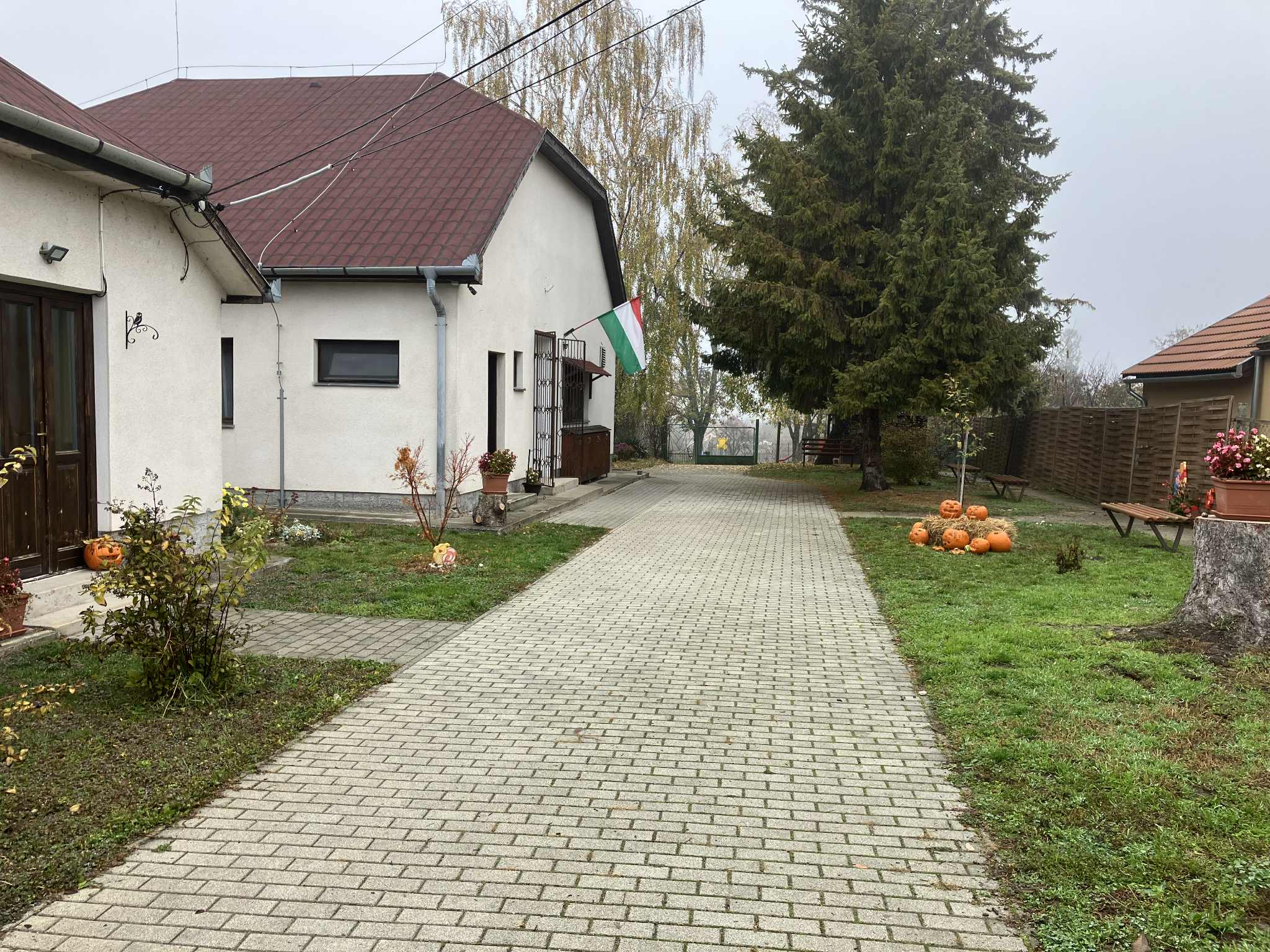 Süni csoport - Hétmérföldes Óvoda - Jenő Süni csoport - Hétmérföldes Óvoda - Jenő